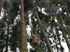 -太阳湾风景区