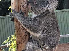 -费瑟代尔野生动物园