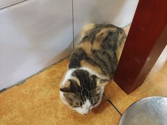 -印象柳螺·柳州螺蛳粉(员村西街店)