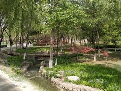 -西安浐灞国家湿地公园