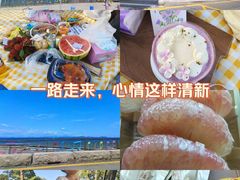 -杨梅坑