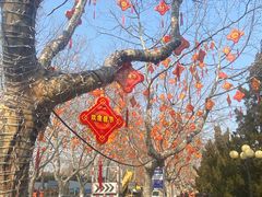 -丁家河公园