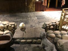 -馬蘭花開(车站大道店)