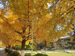 -辽东学院(南校区)
