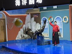-重庆欢乐海底世界