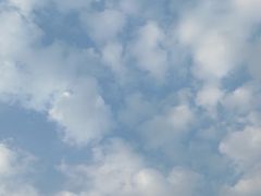 -树厨贵州菜(铜仁花果山店)