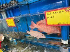 水产区-蚝专家(北滘店)