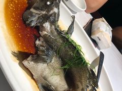 -老伙记海鲜码头(北滘店)