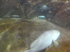 -福州罗源湾海洋世界旅游区