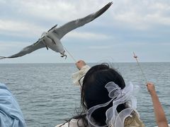 -海驴岛(荣成市)
