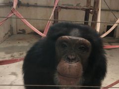 -太原动物园