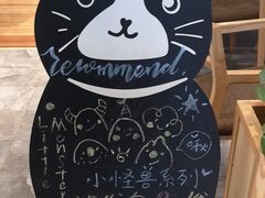 -猫的天空之城概念书店(印象城购物中心店)