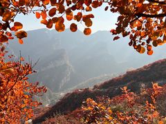 -周口店坡峰岭风景区