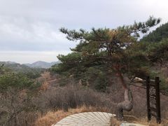 -金龙寺国家森林公园