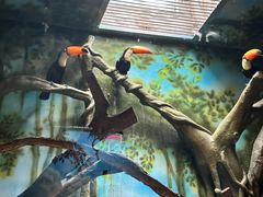 -贵州森林野生动物园