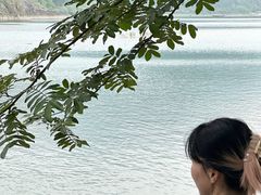 -楠溪江风景名胜区