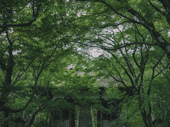 -常寂光寺
