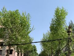 -四川大学(望江校区)