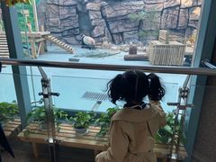 -大青山野生动物园