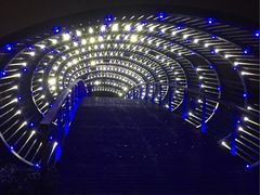 -南翔镇银翔湖公园