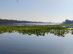 -太平河公园