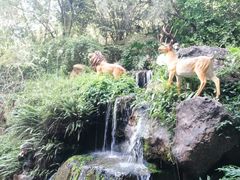 -广州锦绣香江度假别墅