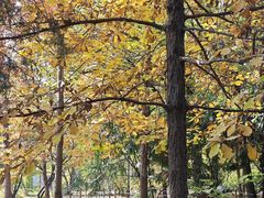 -国家植物园南园