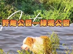-绿堤公园
