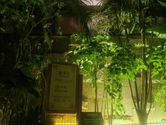 -南宫温泉水世界