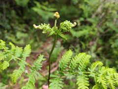-昆明市金殿名胜区