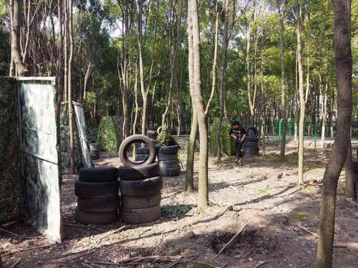 打分 周末和朋友一起去玩的水弹枪场地很棒很有感觉打起来体验感很好