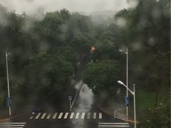 -北京首都机场希尔顿酒店