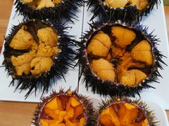 -海胆小馆(东北水饺·春柳店)