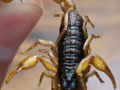 -曼骊酒店(深圳南山海岸城店)