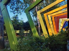 -合肥滨湖国家森林公园