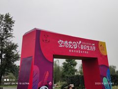 -空港花田景区