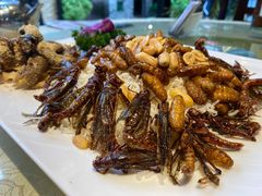 -五邑人家(江门店)