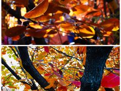 -周口店坡峰岭风景区