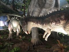 -湖南省地质博物馆