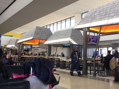 -纽瓦克自由国际机场