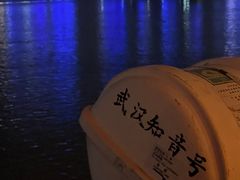 -武汉知音号