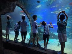 -沈阳海洋探索中心