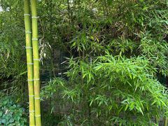 -王家大院