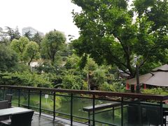 -上海虹桥宾馆味翠餐厅