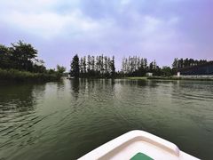 -上海长兴岛郊野公园