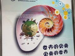 -青岛贝壳博物馆