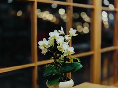 -佛有缘素食馆·荔湾老字号(陈家祠首店)