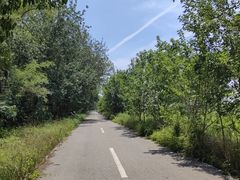 -盐城丹顶鹤湿地生态旅游区