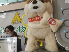 -半岛宠物医院24小时(科华中路店)