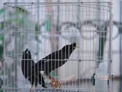 -豆舞咖啡(民乐路店)